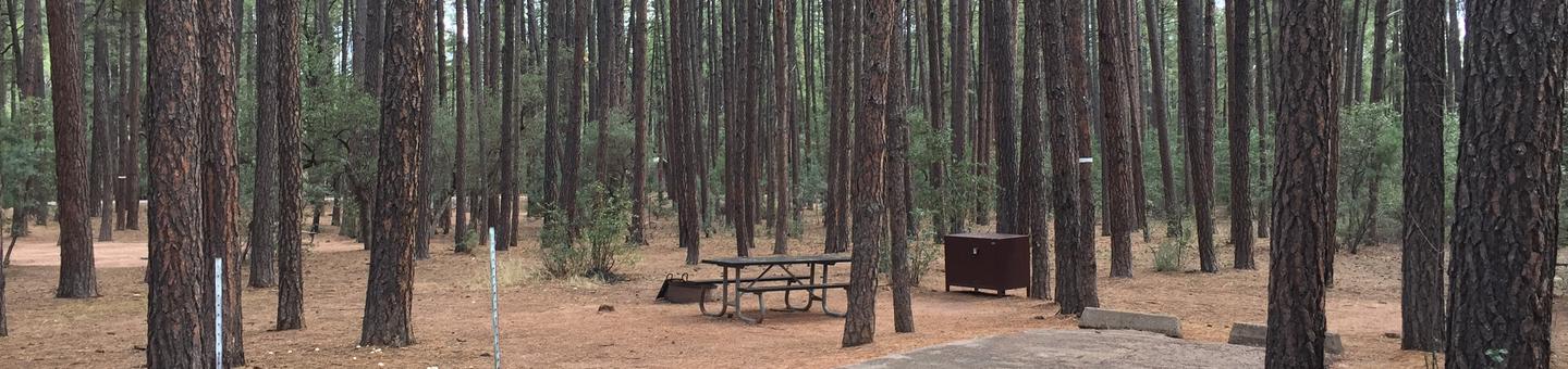 Ponderosa Campground site #C-10 featuring wooded camping space with picnic area and fire pit. 