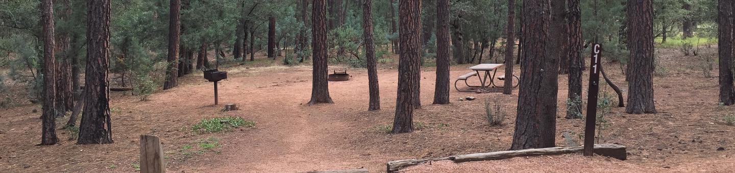 Ponderosa Campground site #C-11 featuring wooded camping space with picnic area and fire pit. 