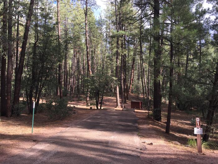 Ponderosa Campground site #D-01 featuring wooded camping space with picnic area and fire pit. 