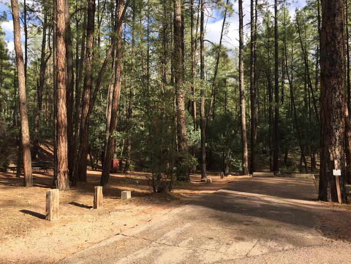 Ponderosa Campground site #D-02 featuring wooded camping space with picnic area and fire pit. 