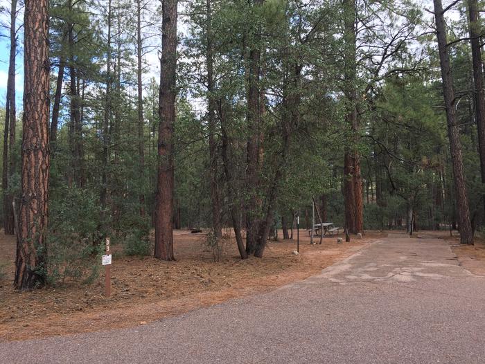Ponderosa Campground site #D-03 featuring wooded camping space with picnic area and fire pit. 