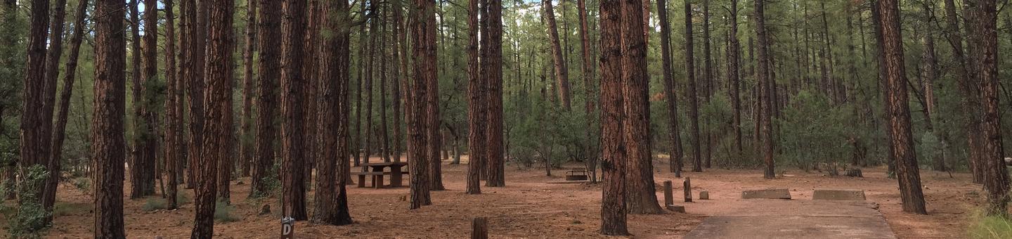 Ponderosa Campground site #D-04 featuring wooded camping space with picnic area and fire pit. 