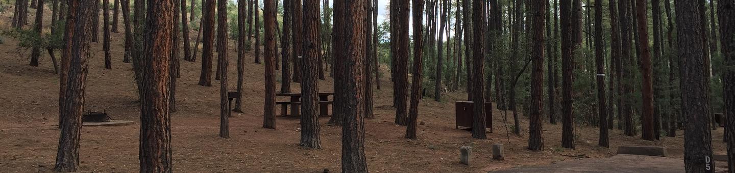 Ponderosa Campground site #D-05 featuring wooded camping space with picnic area and fire pit. 