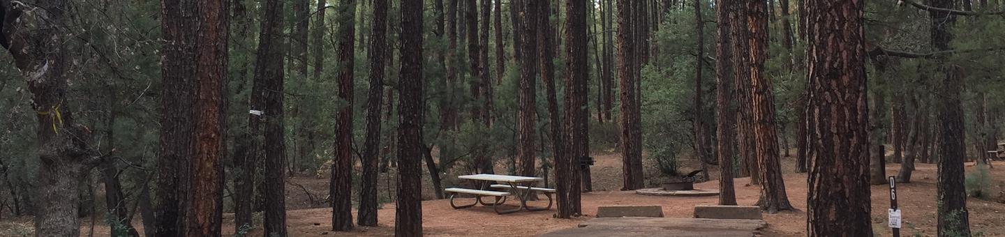 Ponderosa Campground site #D-06 featuring wooded camping space with picnic area and fire pit. 