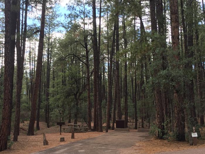 Ponderosa Campground site #D-07 featuring wooded camping space with picnic area and fire pit. 