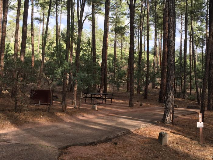 Ponderosa Campground site #D-08 featuring wooded camping space with picnic area and fire pit. 