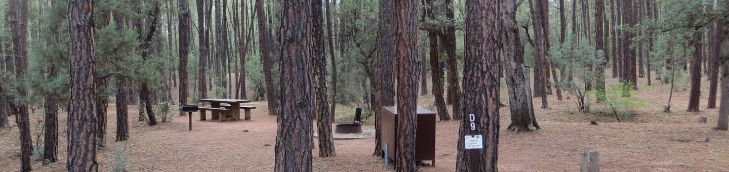Ponderosa Campground site #D-09 featuring wooded camping space with picnic area and fire pit. 
