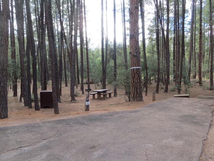 Ponderosa Campground site #D-10 featuring wooded camping space with picnic area and fire pit. 