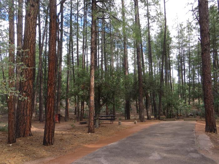 Ponderosa Campground site #D-11 featuring wooded camping space with picnic area and fire pit. 