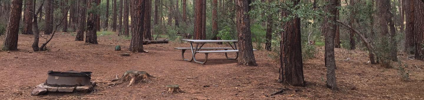 Ponderosa Campground Group Site #E featuring wooded camping space with picnic area and fire pit. 