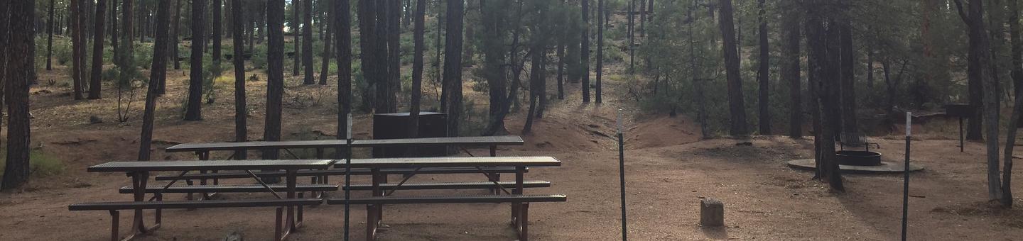 Ponderosa Campground Group Site #F featuring the wooded picnic and camping areas. 