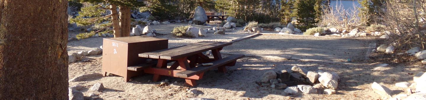 Rock Creek Lake Campground site #03 featuring picnic table, food storage, and fire pit.