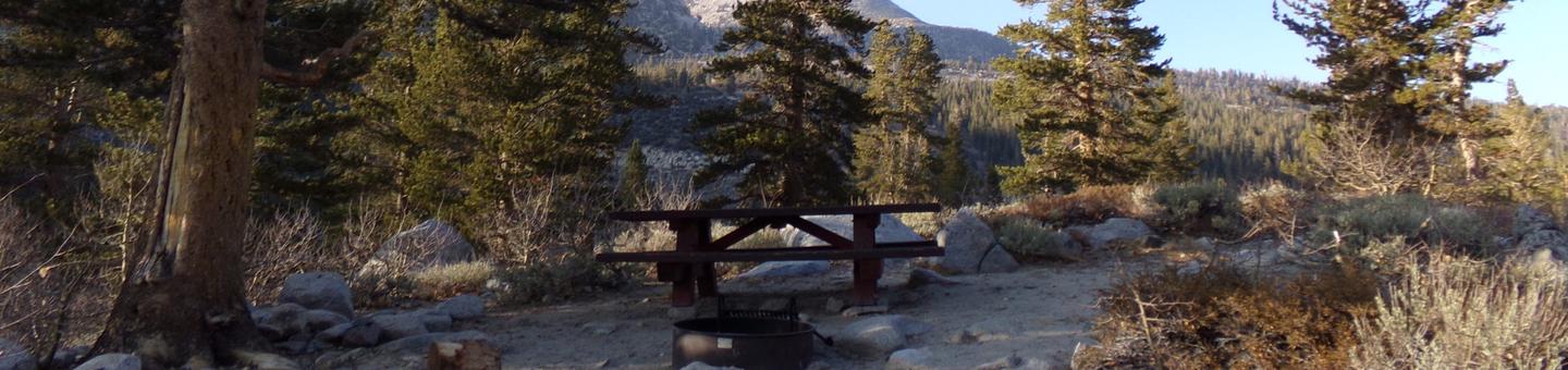 Rock Creek Lake Campground site #06 featuring picnic table, food storage, and fire pit.