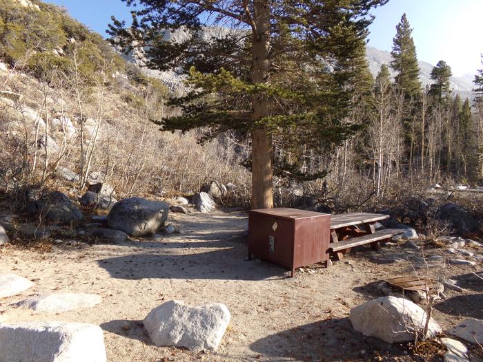 Rock Creek Lake Campground site #07 featuring picnic table, food storage, and fire pit.