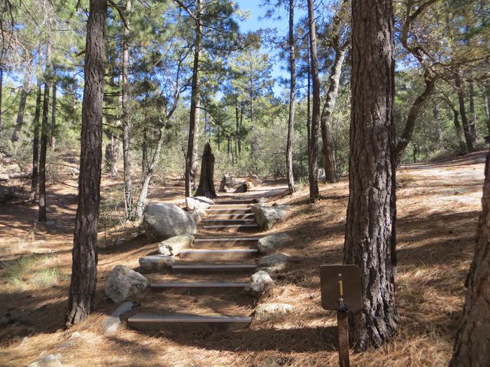 Steps to the raised, mountain top campsite #01, Rose Canyon Campground. 
