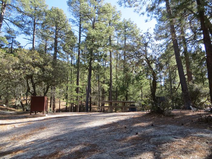 Rose Canyon Campground site #01 featuring the wooded, mountain top picnic and large camping area.