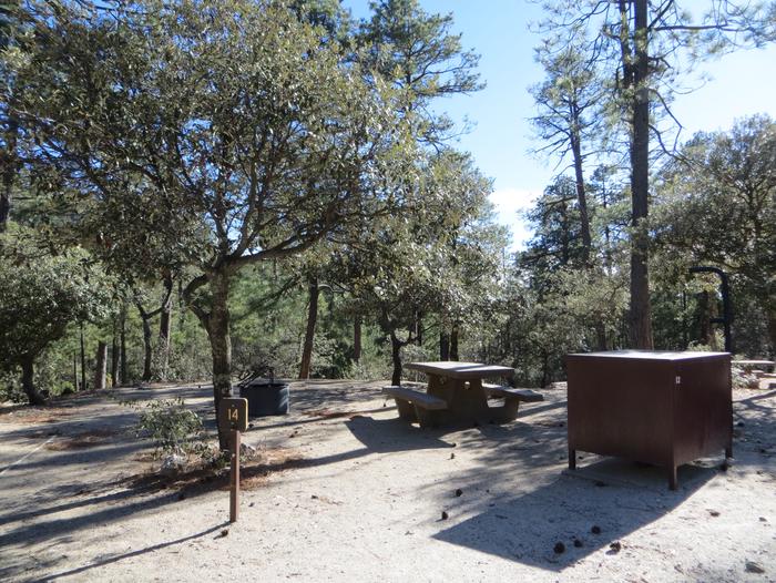 Rose Canyon Campground site #14 with a picnic table, fire ring, camp grill, food storage, lantern pole, and parking.