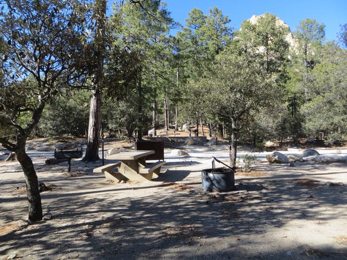 Alternate view of picnic and camping area at site #14, Rose Canyon Campground. 