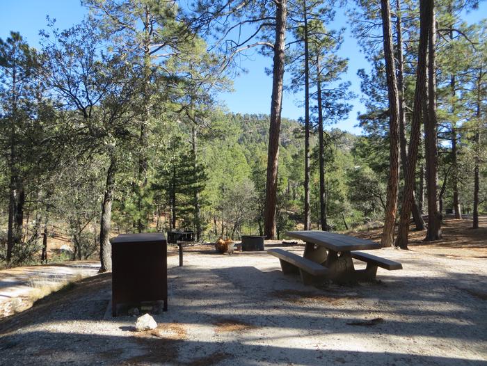 Rose Canyon Campground site #23 with a picnic table, campfire ring, food storage, camp grill, and parking. 