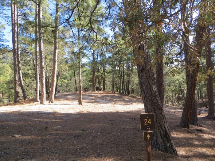 Pathway and entrance to site #24, Rose Canyon Campground. 