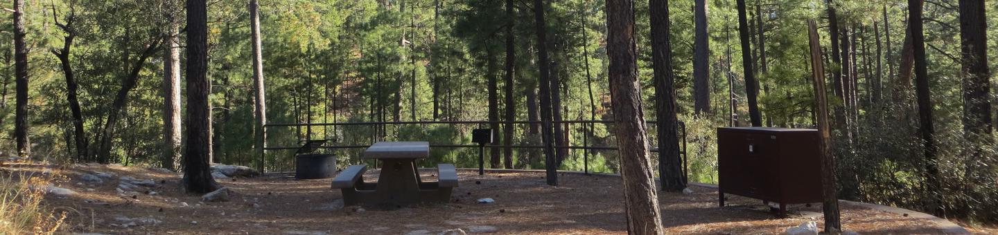 Rose Canyon Campground site #32 featuring the wooded picnic area, fire pit, and camping space. 