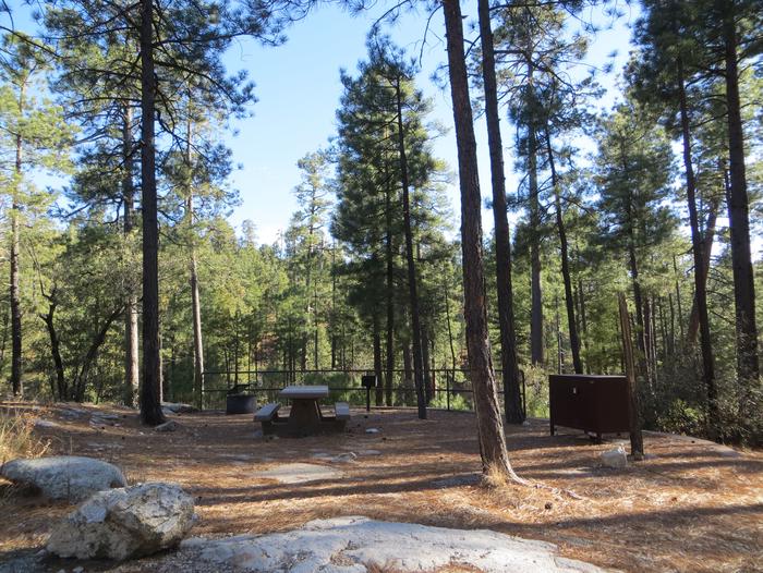 Rose Canyon Campground site #32 with a picnic table, fire ring, food storage, and a camp grill.