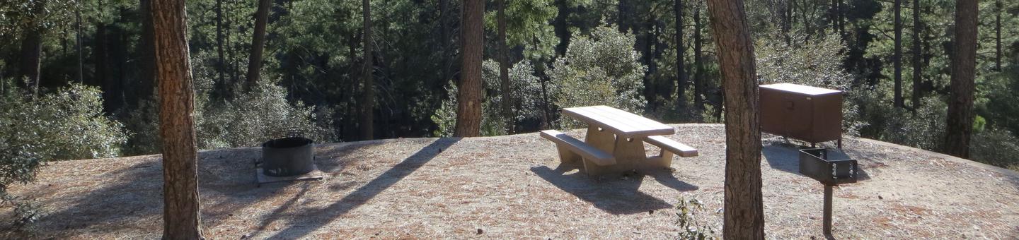 Rose Canyon Campground site #33 featuring the wooded picnic area, fire pit, and camping space. 