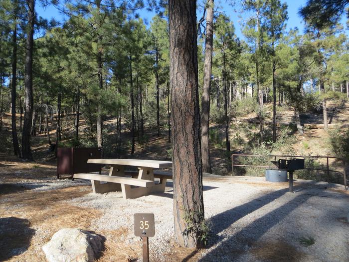 Rose Canyon Campground site #35 with a picnic table, fire ring, camp grill, and food storage. 