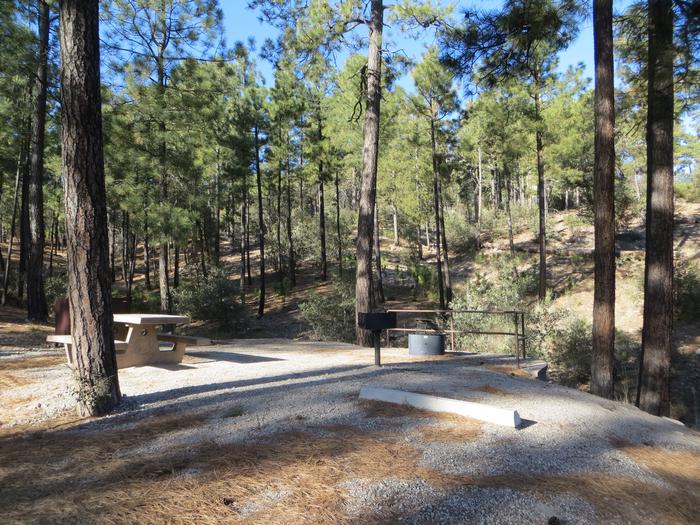 Rose Canyon Campground site #35Rose Canyon Campground site #35 featuring the wooded picnic area, fire pit, and camping space. 