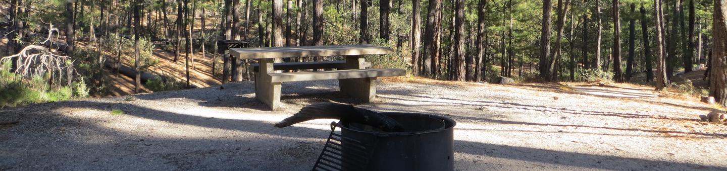 Rose Canyon Campground site #41 featuring mountain top picnic area, fire pit, and camping space. 