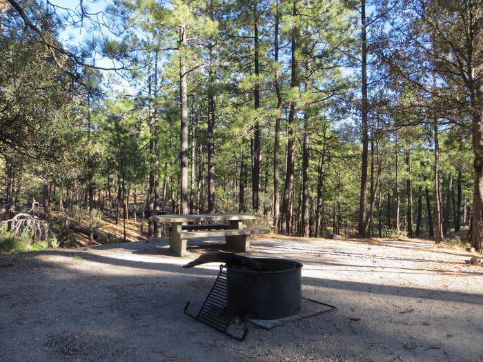Rose Canyon Campground site #41 with a picnic table, campfire ring, camp grill, and food storage.