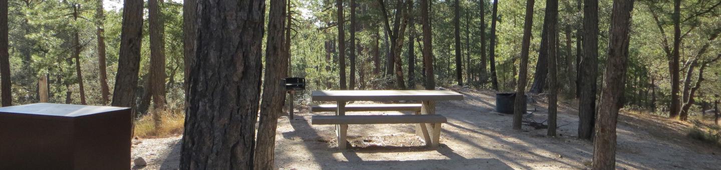 Rose Canyon Campground site #44 featuring mountain top setting picnic area, food storage, and fire pit. 