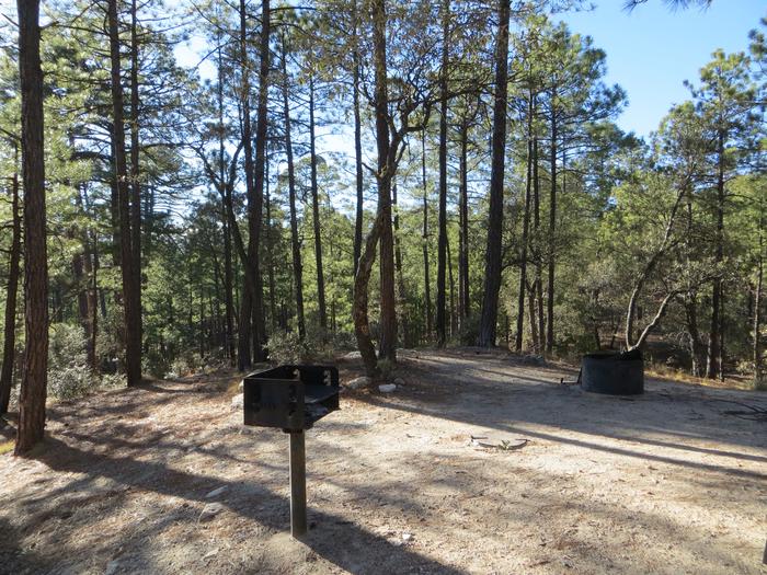 Rose Canyon Campground site #44 featuring mountain top setting camping area with fire pit. 