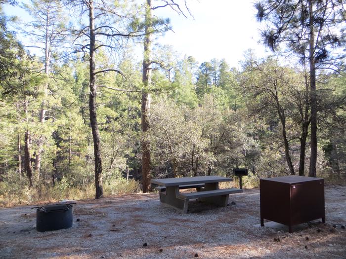 Rose Canyon Campground site #45 with a picnic table, fire ring, food storage, and a camp grill.