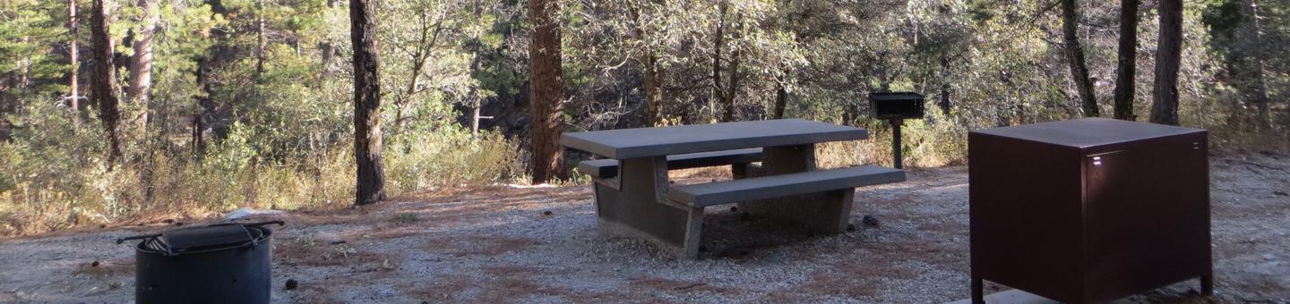 Rose Canyon Campground site #45 featuring picnic area, food storage, and fire pit. 