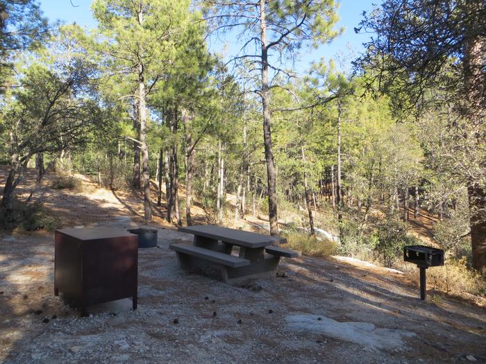 Additional view of the camping and picnic area at site #45, Rose Canyon Campground. 