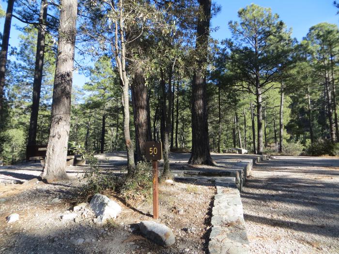 Parking space and entrance to site #50, Rose Canyon Campground. 