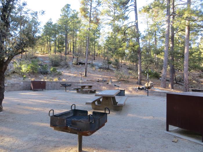 Rose Canyon Campground largest site #61 with picnic tables, food storage, camp grills, lantern poles, and a fire ring.