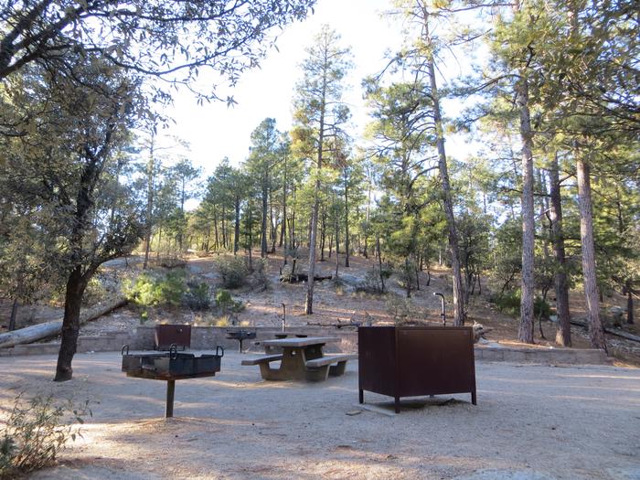Rose Canyon Campground broad view of mountain top site #61 with picnic areas, fire pits, and camping spaces. 