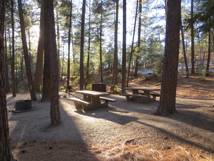 Rose Canyon Campground site #69 with picnic tables, food storage, camp grill, and a fire ring.