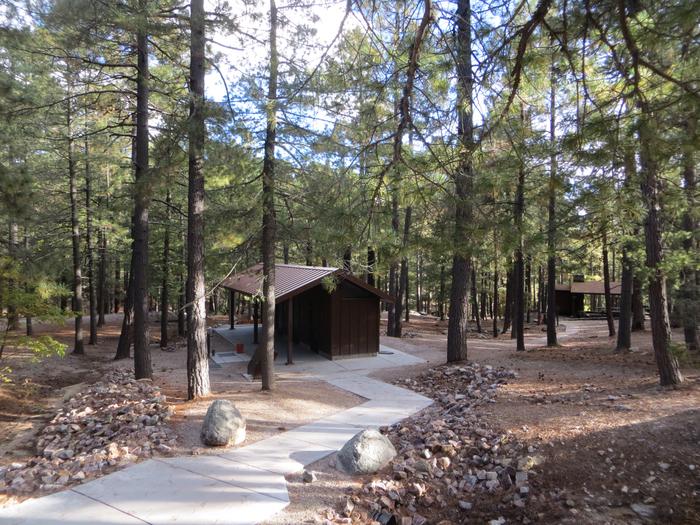 Showers Point Group Site featuring access to the restroom and campground from the wooded site. 