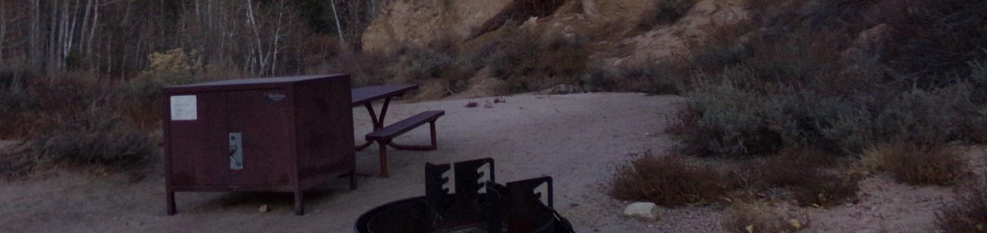 Tuff Campground site #19 featuring picnic area with camping space and fire pit by the mountain side. 