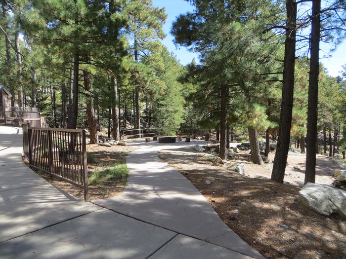 Sidewalk ramp from the parking lot to the large, wooded Group Site #01, Whitetail Campground. 