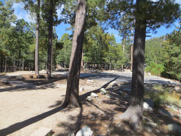 Whitetail Campground Group Site #02 featuring large ramada with multiple picnic tables, camping spaces, and food storage. 