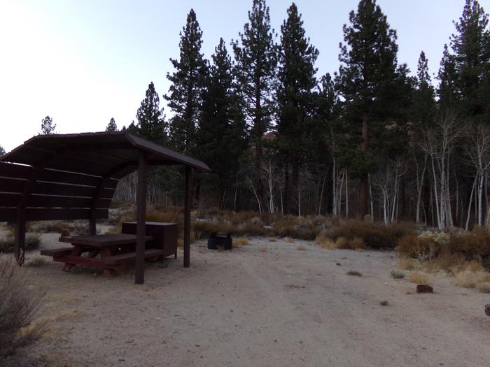 Tuff Campground site #03 featuring shaded picnic area, camping space, and fire pit. 