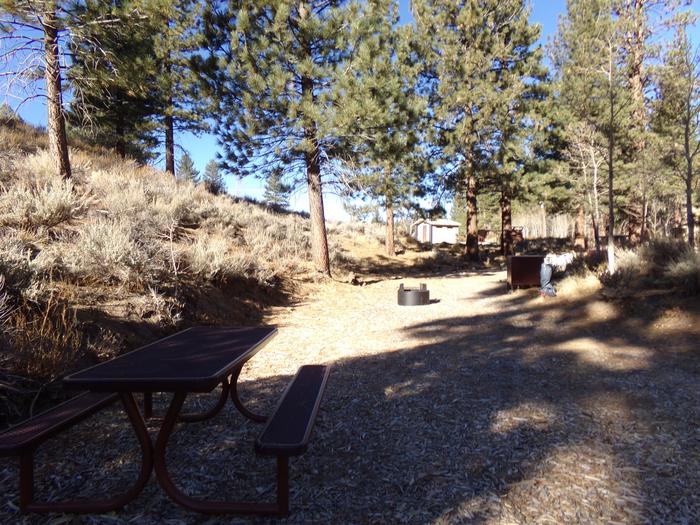 Tuff Campground site #12 featuring shaded picnic area, camping space, and fire pit. 