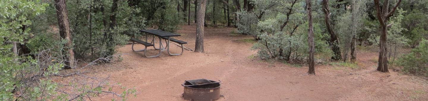 Houston Mesa, Mountain Lion Loop site #12 featuring the wooded picnic area, camping space and fire pit. 