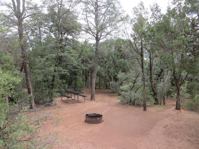 Houston Mesa, Mountain Lion Loop site #12 featuring the wooded picnic area, camping space and fire pit. 