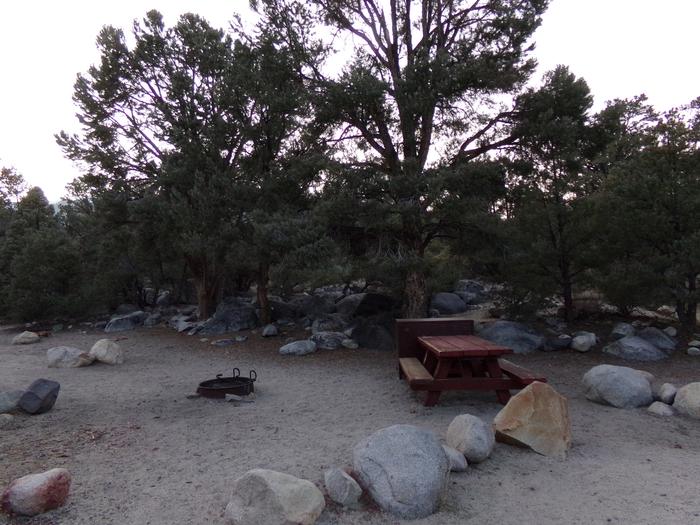 French Camp site #36 featuring picnic table, food storage, and fire pit in this mountain top setting. 