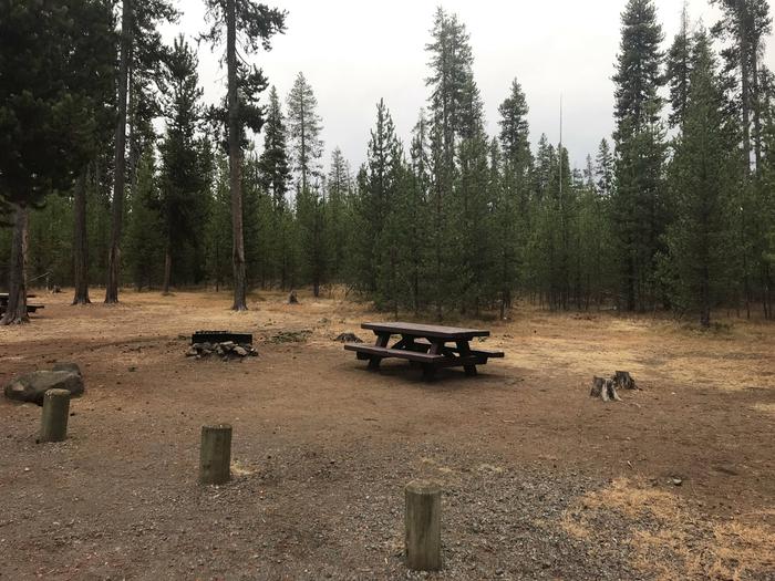 Campsite w/ picnic table